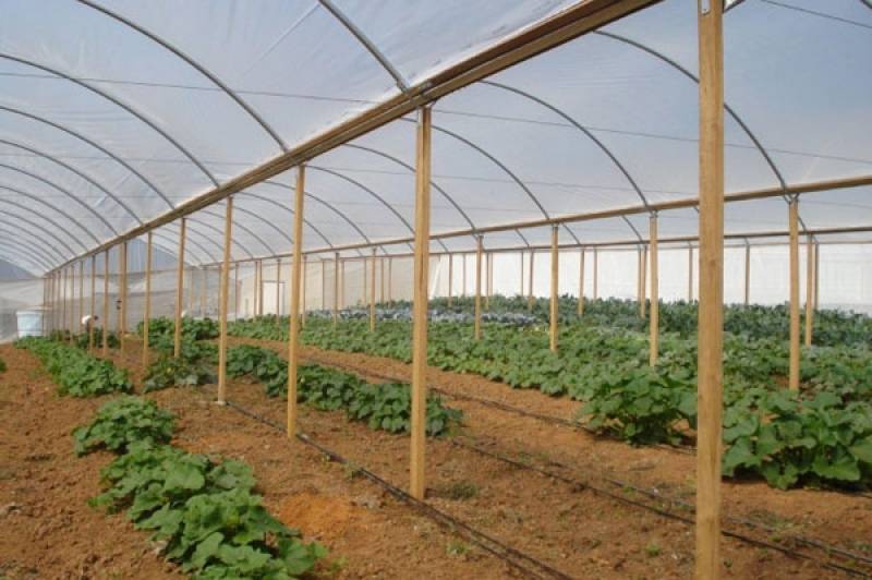 Calha de Alumínio para Estufa Preço Imperial Parque - Calha Galvanizada