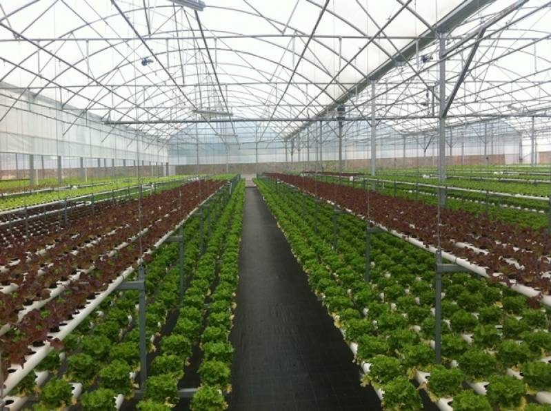 Calhas de Alumínio para Estufa Jardim Paraíso - Calha de Alumínio para Galpão Industrial